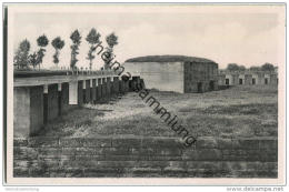 Langemarck - Langemark - Deutscher Kriegerfriedhof - Foto-AK - Langemark-Poelkapelle