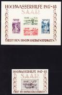 ** BLOCS FEUILLETS N°1/2 - Inondations 1947/48 - TB - Sonstige & Ohne Zuordnung