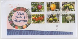 Malawi 2016 Wild Fruits Früchte Flore Flora FDC 1er Jour - Alimentazione