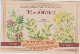 The De Jouvence  Fenouil   Sene Purgatif Plante Medecinale - Geneeskrachtige Planten