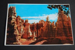 Queen Victoria Bryce Canyon National Park  ,  Gelaufen  1979 - Bryce Canyon