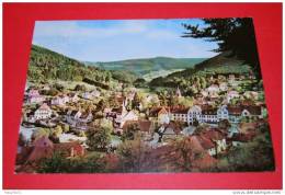 Bad Herrenalb / Schwarzwald Blick Vom Marienweg Gelaufen 1967 - Bad Herrenalb