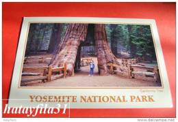 Yosemite National Park - Yosemite