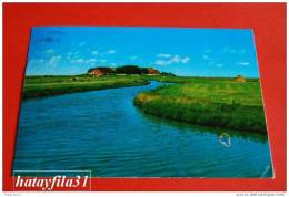 Hallig Hooge Gelaufen 1979 - Halligen