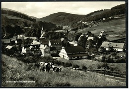 Gasthof Schütte  -  Oberkirchen / Schmallenberg  -  Hochsauerland  -  Ansichtskarte  Ca.1965    (8783) - Schmallenberg