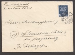 1947  Lettre Pour L'Allemagne Fleur Alpine  Chardon Bleu  Zum 120 - Storia Postale