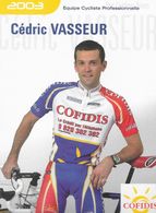 Fiche Cyclisme, Palmarès - Saison 2003, Cédric Vasseur - Equipe Cycliste Professionnelle Team Cofidis - Sports