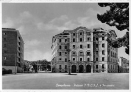 07979 "CAMPOBASSO - PALAZZI I.N.C.I.S. E FERROVIERI" ARCH. '900. CART  SPED 1966 - Campobasso