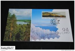 Finnland     EXHIBITION CARD   1993  Mi. 1200 - 1201   / Gemälde - Briefmarken Messe Essen ( T - 71 ) - Tarjetas – Máximo