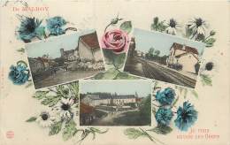 DE MALROY JE VOUS ENVOIE CES FLEURS CARTE MULTIVUES - Autres & Non Classés