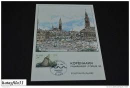 Finnland - Aland  1995  EXHIBITION CARD ( Messe Karten )  FRIMAERKET I FORUM - KÖPENHAMN  (T - 100 ) - Cartoline Maximum