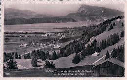 Vallée De Joux, L'Orient, Cachet Rectangulaire LE LIEU (10268) - Le Lieu