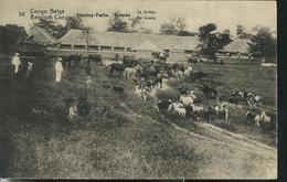 Carte Obl. N° 43. Vue 36. Stanley-Falls . Romée  La Ferme ; Obl. Elisabetville 06/03/19  Pour Gent - Ganzsachen