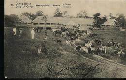 Carte Obl. N° 42. Vue 36. Stanley-Falls . Romée  La Ferme ; Obl. Boma 23/11/19 .. - Ganzsachen