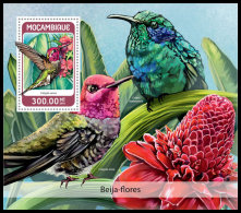 MOZAMBIQUE 2018 MNH** Colibris Kolibris S/S - IMPERFORATED - DH1826 - Kolibries