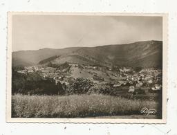 Cp , 67 , WANGENBOURG , Vue Sur Le SCHNEEBERG , Vierge , Ed. Buessinger - Autres & Non Classés