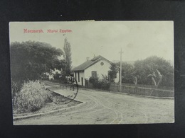 Mansourah Hôpital égyptien - Mansourah