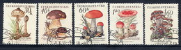 CZECHOSLOVAKIA 1958 Fungi Set Used.  Michel  1101-05 - Usati