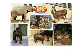 Cpm - MONACO - ZOO Centre Désacclimatation Zoologique éléphant Hippopotame Tortue Lama Singe Tigre - Flusspferde