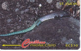 TARJETA DE ST. LUCIA DE UN LAGARTO (LIZARD) 137CSLA - St. Lucia