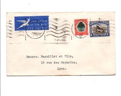 AFRIQUE DU SUD LETTRE AVION POUR LA FRANCE 1954 - Nieuwe Republiek (1886-1887)