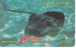 TARJETA DE CAYMAN ISLANDS DE UNA RAYA (FISH-PEZ-POISSON) 94CCIE - Kaimaninseln (Cayman I.)