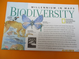 Carte D'Evolution Biologique/ Biodiversity/ Millenium In Maps/National Geographic Society/ 1998   PGC221 - Autres & Non Classés
