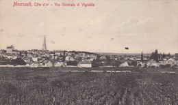 21 / MEURSAULT / VUE GENERALE ET VIGNOBLE - Meursault