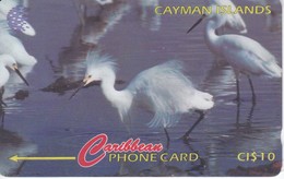 TARJETA DE CAYMAN ISLANDS DE UNA GARZA (BIRD-PAJARO) 13CCIC - Islas Caimán