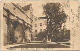 X3314 Glauchau - Grafl Schonburg Sches Schloss - Im Schlosspark - Castle Chateau Castello Castillo / Viaggiata 1914 - Glauchau