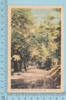 CPSM Peterborough Ontario - Jackson Park -   Used In 1950 Stamp  Canada 4¢ - Peterborough