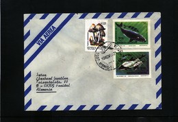 Argentina Interesting Letter - Covers & Documents