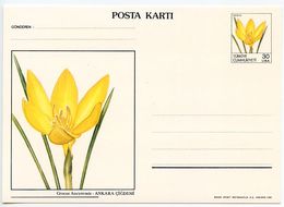 Turkey 1988 Mint 30l Crocus Flower Postal Card - Postal Stationery