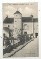 Cp , 89 , L'ISLE SUR SEREIN , Vieille Tour , Vierge , Ed. Pothain , N° 40 - L'Isle Sur Serein