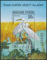 O 1980 Madarak Vágott Blokk (6.000) - Other & Unclassified