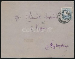 1884 Színesszámú 2kr Gyászjelentésen - Sonstige & Ohne Zuordnung