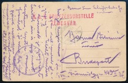1917 Képeslap Orsováról 'K.u.K. Schiffshebeformation  ...depot' + 'BRIEFZENSURSTELLE TEMESVÁR' - Sonstige & Ohne Zuordnung