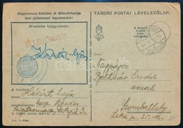 1944 Tábori Posta Levelez?lap 'M. KIR. 102. FOGATOLT VONATCSOPORT PARANCSNOKSÁG' - Otros & Sin Clasificación
