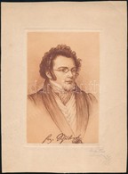 Robert Aust (?-?): Franz Schubert. Rézkarc, Papír, Jelzett, 16×11 Cm - Other & Unclassified