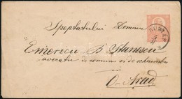 1871 5kr Boríték ,,BUZIÁS' - Arad - Unclassified