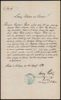 1870 Buda, Nyúlsz?rnyíró Házassági Engedélye - Unclassified