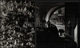 Cca 1950 Réti Pál (1918-1989) Budapesti Fotóm?vész Hagyatékából 7 Db Vintage Fotó, Az Egyik Pecséttel Jelzett + Hozzáadv - Otros & Sin Clasificación