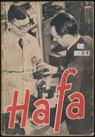 1934 Hatschek és Farkas Fotó-, Optikai és Rádiószaküzlet 72. Képekkel Illusztrált Katalógusa. Bp.,1934, Tolnai-ny.,126+2 - Sonstige & Ohne Zuordnung