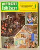 1977 Kertészet és Sz?lészet, Teljes évfolyam Bekötve, Jó állapotban. - Ohne Zuordnung