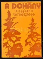 A Dohány Nagyüzemi Termesztése. Szerk.: Dr. Borsos János. Bp.,1976, Mez?gazdasági Kiadó. Kiadói Papírkötés. - Sin Clasificación
