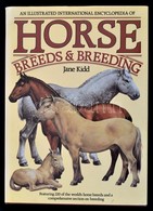 Kidd, Jane: An Illustrated International Encyclopedia Of Horses - Breeds And Breeding. London, 1985, Salamander Books. V - Unclassified