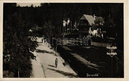 T2 Borszék, Borsec; Sétány / Promenade - Unclassified