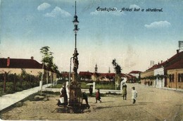 T3 Érsekújvár, Nové Zamky; Artézi Kút, Sétatér / Well, Promenade (fa) - Unclassified