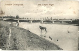 ** T2/T3 Érsekújvár, Nové Zamky; Híd A Nyitra Folyón, Ló. Adler József Kiadása / Nitra Bridge, Horse (EK) - Unclassified