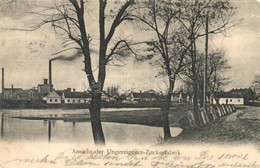 T3/T4 1905 Magyarfalu, Magyarfalva, Záhorská Ves, Ungeraiden, Ungereigen; Cukorgyár / Zuckerfabrik / Sugar Factory (szak - Sin Clasificación
